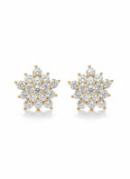 Pair of diamond earrings on a white background