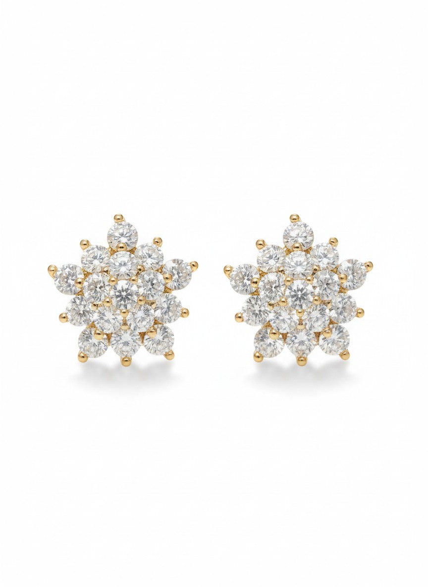 Pair of diamond earrings on a white background