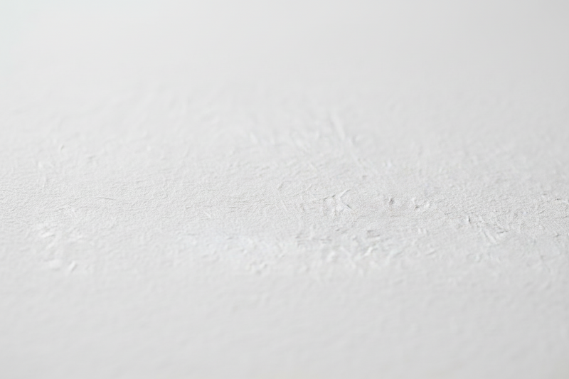 Solid light gray color swatch